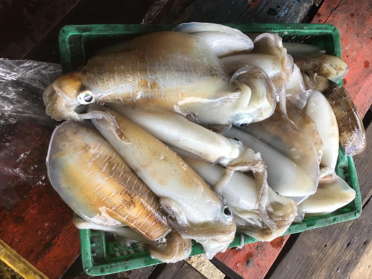 Homestay&Chaoleyseafoodrestaurant Ko Pu 외부 사진